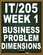 IT205 BUSINESS PROBLEM DIMENSIONS